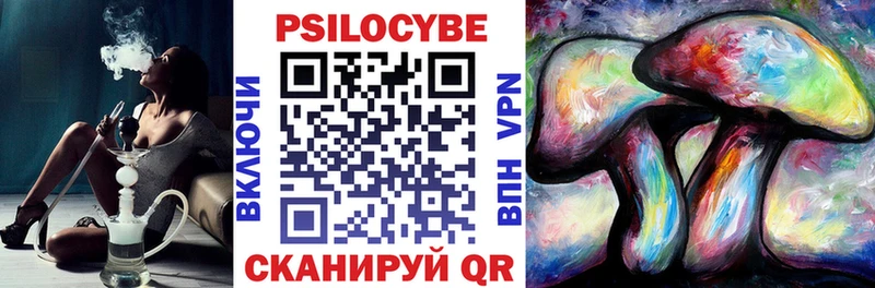 Псилоцибиновые грибы Psilocybe  магазин  наркотиков  MEGA зеркало  Ржев 